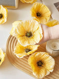 //img.ltwebstatic.com/v4/j/spmp/2025/06/05/71/1749111356c730d370d12f8a285147f5bb4d35854f_thumbnail_900x.webp