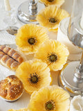 //img.ltwebstatic.com/v4/j/spmp/2025/06/05/d0/1749111356ffed396e4ebbdcebe3527dbb657950fb_thumbnail_900x.webp