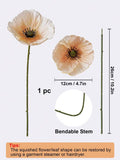 //img.ltwebstatic.com/v4/j/spmp/2025/06/05/57/1749111405f2be477383f202d666e18e45afbf3cad_thumbnail_900x.webp