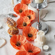 //img.ltwebstatic.com/v4/j/spmp/2025/06/19/bb/17503252210a04a04d702e0151fb21a6359cb43b48_thumbnail_900x.webp