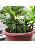 //img.ltwebstatic.com/v4/j/spmp/2025/07/08/44/17519648508ec72760f9ccabb805fb5ebddfb67f46_square_thumbnail_900x.webp