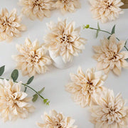 //img.ltwebstatic.com/v4/j/spmp/2025/07/09/31/1752053368a7a74ac0577c8eb1c07e84e2fb34734d_thumbnail_900x.webp