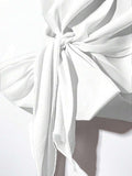 //img.ltwebstatic.com/v4/j/pi/2025/08/13/dc/1755075410eb87ccc499f2b4a7d4d05d9d9c920d81_thumbnail_900x.webp