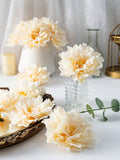//img.ltwebstatic.com/v4/j/spmp/2025/09/28/03/1759056063c60052d51bd7ae0271c2d37436ae3427_thumbnail_900x.webp