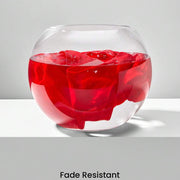 //img.ltwebstatic.com/v4/j/pi/2025/09/30/23/17592229484e465408edc97cab48963576986cd510_thumbnail_900x.webp