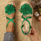 https://img.kwcdn.com/product/fancy/175b13c3-84f1-4563-87d9-6110173bc205.jpg