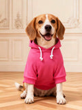 //img.ltwebstatic.com/v4/j/spmp/2025/11/04/ba/1762199861433e5eddbe486ae2a3e561d3ce2cd625_thumbnail_900x.webp