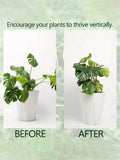 //img.ltwebstatic.com/v4/j/spmp/2025/11/05/fe/1762309390eb1ab9a9bc11c48d3eda52708e34eff6_thumbnail_900x.webp
