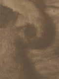 //img.ltwebstatic.com/v4/j/pi/2025/12/05/ee/176490724513d7629e4a67231e1700e68867022037_thumbnail_900x.webp