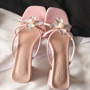 //img.ltwebstatic.com/v4/j/spmp/2025/12/09/bb/17652821688bd3431c0b39fc39a82a7bf252ac7017_thumbnail_900x.webp