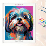 //img.ltwebstatic.com/v4/j/spmp/2025/12/20/42/17661960790b9a4b7a0a1932317ac6a7c3fdabd693_square_thumbnail_900x.webp
