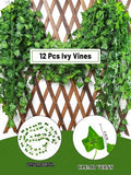 //img.ltwebstatic.com/v4/j/spmp/2025/12/26/c6/1766714605f13a9af752429eab0c8aa9684a460ca2_thumbnail_900x.webp