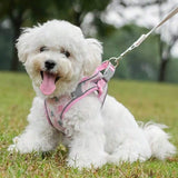 //img.ltwebstatic.com/v4/j/spmp/2025/12/27/19/176684681092f7a6f8aee44cf2f04801886fb2dd3d_square_thumbnail_900x.webp