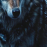 //img.ltwebstatic.com/v4/j/spmp/2026/01/05/2b/176758266895c6bd1b43344ff2e41afb3be1c886a7_square_thumbnail_900x.webp