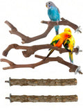 //img.ltwebstatic.com/v4/j/spmp/2026/01/05/97/17676007014b34b41d63545e83070f1786c1d47edd_thumbnail_900x.webp