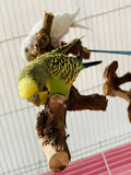 //img.ltwebstatic.com/v4/j/spmp/2026/01/05/9d/1767601366e26852b64921786f3e0e2b8fa473302d_thumbnail_900x.webp