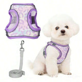 //img.ltwebstatic.com/v4/j/spmp/2026/01/09/bb/1767951582095f3331525dfa8f9e9391f83598ad23_square_thumbnail_900x.webp