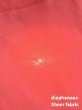 //img.ltwebstatic.com/v4/j/spmp/2026/01/10/07/1768005490c5caa735fad10843c81b66c571ec50ee_thumbnail_900x.webp