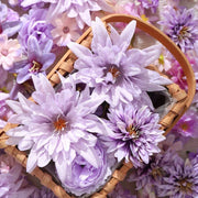 //img.ltwebstatic.com/v4/j/spmp/2026/01/14/b3/176836869992d9c6dd3f83ea04f346867b53bf383a_thumbnail_900x.webp