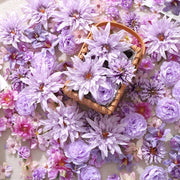 //img.ltwebstatic.com/v4/j/spmp/2026/01/14/d3/176836870003c5c205cec5bc75535708aa5af5cba4_thumbnail_900x.webp