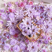 //img.ltwebstatic.com/v4/j/spmp/2026/01/14/90/17683687006b342d6ee05898d937e81c49c7f2a301_thumbnail_900x.webp