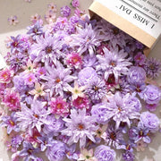 //img.ltwebstatic.com/v4/j/spmp/2026/01/14/ec/1768368700a32a40bef759b245169bd6afdf63c4f2_thumbnail_900x.webp