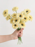 //img.ltwebstatic.com/v4/j/spmp/2026/01/20/d4/1768894295b9d51b67fa5a299bb3521796078bd389_thumbnail_900x.webp