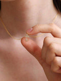 //img.ltwebstatic.com/v4/j/spmp/2026/01/21/ed/1768977363896224e517914c899d69a0fe83069b9f_thumbnail_900x.webp