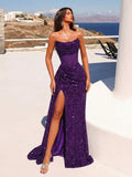 //img.ltwebstatic.com/v4/j/spmp/2026/01/30/49/17697521411094720d43aaa4226a57a4ef0b999692_thumbnail_900x.webp