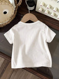 //img.ltwebstatic.com/v4/j/pi/2026/02/27/9a/177217344096e352341f79e15f2219078a08cf0b1e_thumbnail_900x.webp