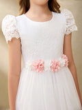 //img.ltwebstatic.com/v4/j/pi/2026/02/28/3e/1772249273d0600898eb754904a9506b8ca175f981_thumbnail_900x.webp