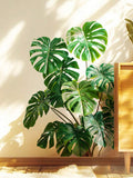 //img.ltwebstatic.com/v4/j/spmp/2026/03/06/63/17727711556b82bc3d3727d713130c8f274ef9ff10_thumbnail_900x.webp