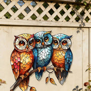 //img.ltwebstatic.com/v4/j/spmp/2026/03/07/c9/177287528404e92502705193080d86bf854526341c_thumbnail_900x.webp