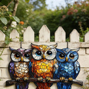 //img.ltwebstatic.com/v4/j/spmp/2026/03/07/55/1772875284e9986660b0ddbb81484bdecbecca682d_thumbnail_900x.webp