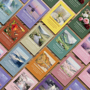 //img.ltwebstatic.com/v4/j/spmp/2026/03/21/c1/1774070897bc85ffedcc7f2e2dce563e84f33c61fe_square_thumbnail_900x.webp