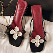 //img.ltwebstatic.com/v4/j/spmp/2026/03/24/42/1774332643766f68c349a4318c97d0e8d2bf6c2a43_thumbnail_900x.webp