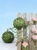 //img.ltwebstatic.com/v4/j/spmp/2026/04/17/25/177641093165ef8619fc5f40be235f338b607f363c_thumbnail_900x.webp