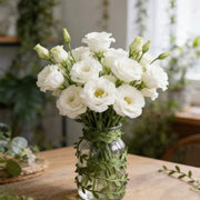 //img.ltwebstatic.com/v4/j/spmp/2026/04/17/7a/1776410931cce8a8448fa7796049d36c33ef5601ab_thumbnail_900x.webp