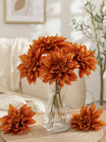 //img.ltwebstatic.com/v4/j/spmp/2026/05/21/d7/17793323046c6951c07b8a57beaf0d4dae896dd21f_thumbnail_900x.webp