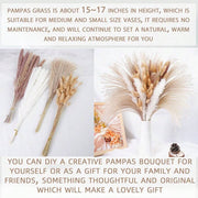 //img.ltwebstatic.com/v4/j/spmp/2026/05/26/d3/1779772338f1c9ddd27b07990aeeb831c09567bf8a_square_thumbnail_900x.webp