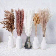 //img.ltwebstatic.com/v4/j/spmp/2026/05/26/99/1779772411db5edf3d4b8564256d097604aabdffb8_square_thumbnail_900x.webp