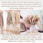 //img.ltwebstatic.com/v4/j/spmp/2026/05/26/79/1779772411e400dc53c3cc1285feb69d8c4517b23a_square_thumbnail_900x.webp