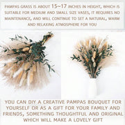 //img.ltwebstatic.com/v4/j/spmp/2026/05/26/b3/177977332761a360cf64eebe89afe237b37aa6b1ba_square_thumbnail_900x.webp