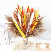 //img.ltwebstatic.com/v4/j/spmp/2026/05/26/fb/17797737387a4463325ce8b0fa59a5fe25899bbfc4_square_thumbnail_900x.webp