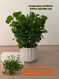 //img.ltwebstatic.com/v4/j/spmp/2026/06/02/a2/17803808948d7547e6a2bbfc8cd5965e40c5516ed6_thumbnail_900x.webp