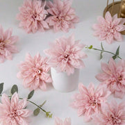 //img.ltwebstatic.com/v4/j/spmp/2026/06/03/c3/17804767731c82da2898a2bfc8a6c4dbbc5b8a02b7_thumbnail_900x.webp