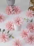 //img.ltwebstatic.com/v4/j/spmp/2026/06/03/c3/17804767731c82da2898a2bfc8a6c4dbbc5b8a02b7_thumbnail_900x.webp