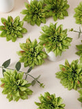 //img.ltwebstatic.com/v4/j/spmp/2026/06/03/0e/1780476817070edb4a4f65e44cbe83007b23569028_thumbnail_900x.webp