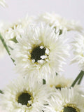 //img.ltwebstatic.com/v4/j/spmp/2026/06/05/41/1780650748e3138adc4d6f4bdf815c4a4ad45f76a7_thumbnail_900x.webp