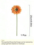 //img.ltwebstatic.com/v4/j/spmp/2026/06/05/99/178065163477fa581b069e1ac91c387652d2135b2a_thumbnail_900x.webp